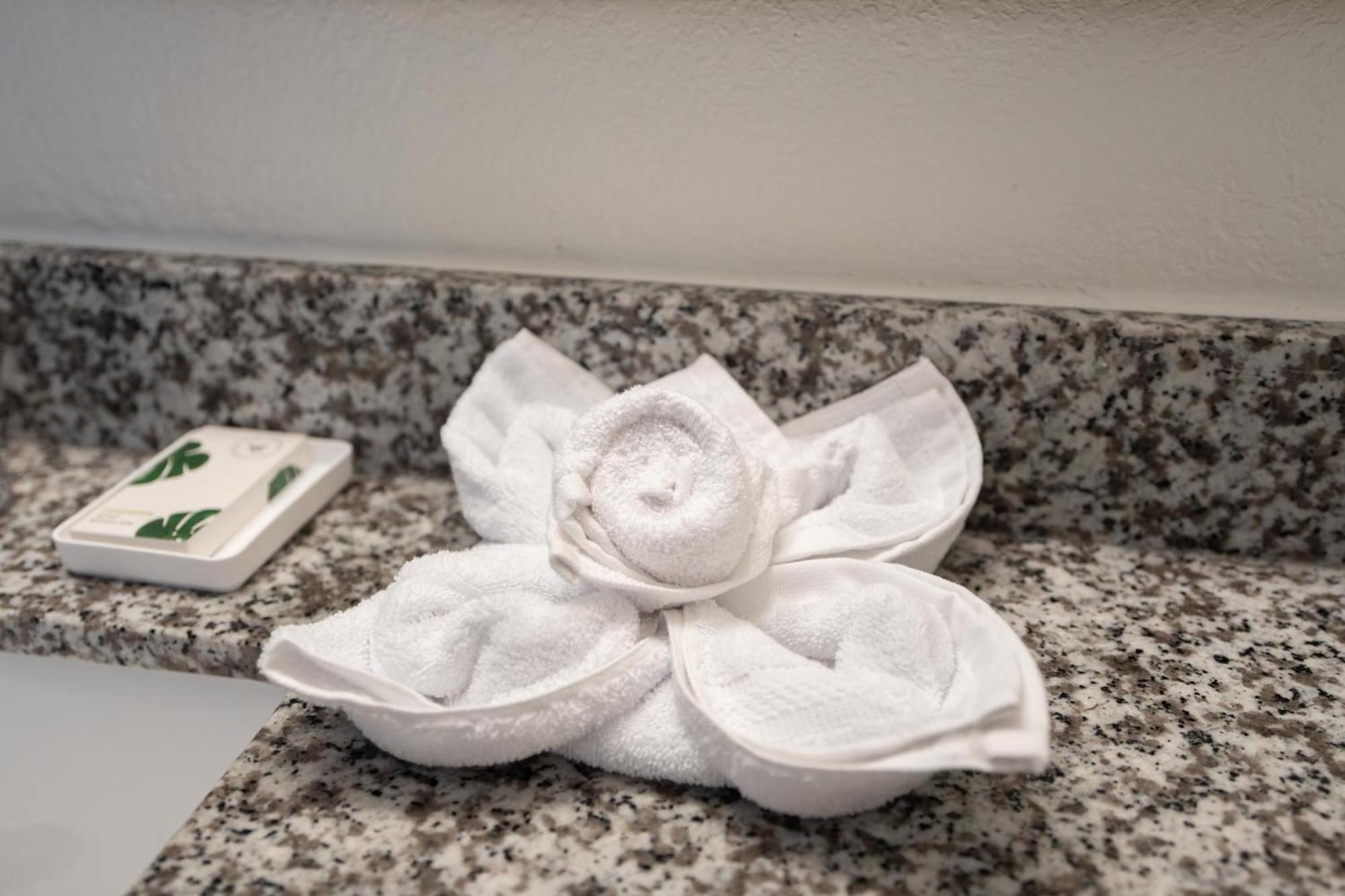 Oasis Bay Suites, Tampa, Busch Gardens, Usf Ngoại thất bức ảnh