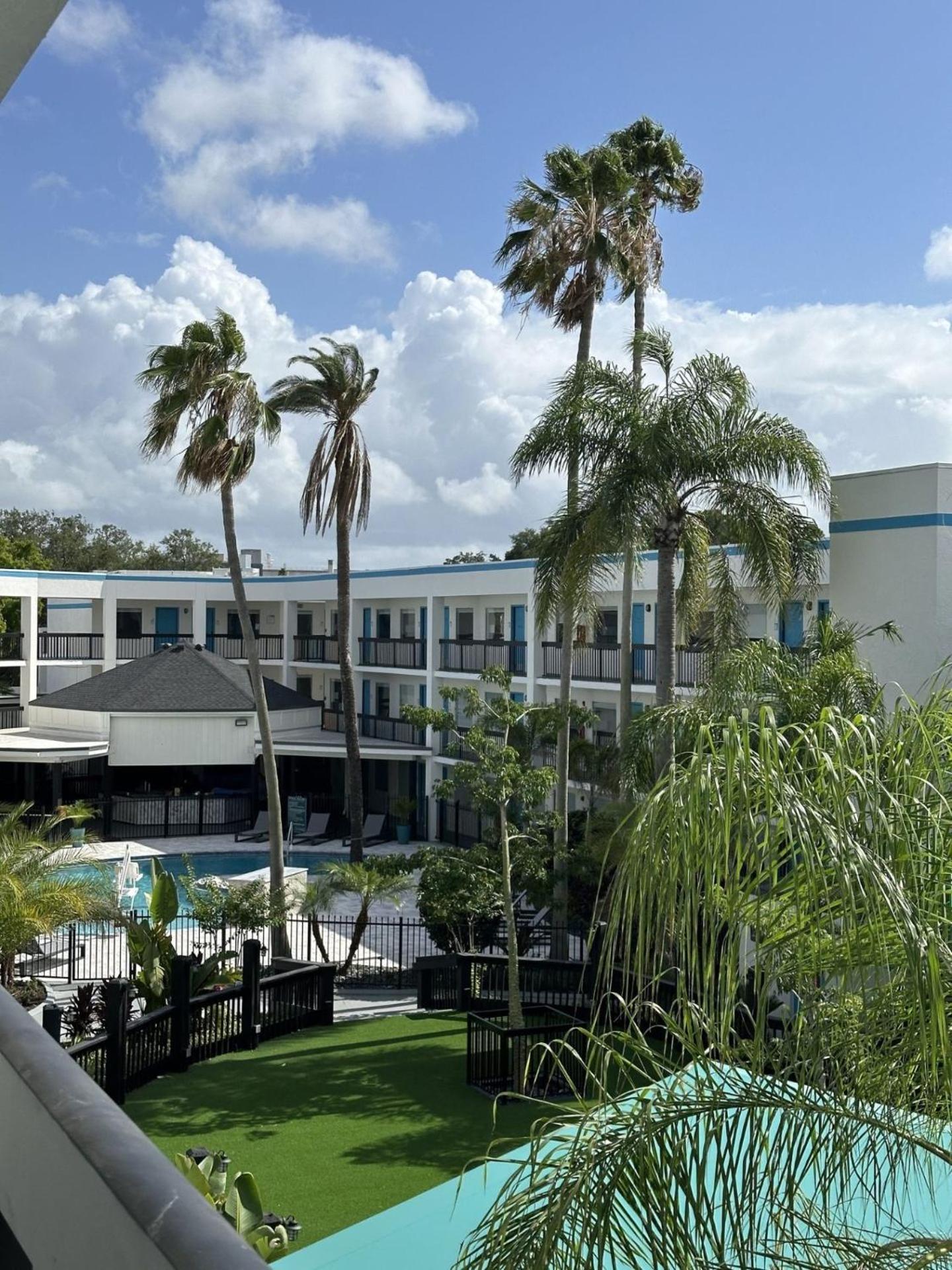 Oasis Bay Suites, Tampa, Busch Gardens, Usf Ngoại thất bức ảnh